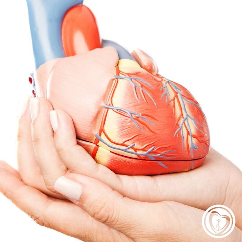 andre David - cardiologista curitiba - endocore