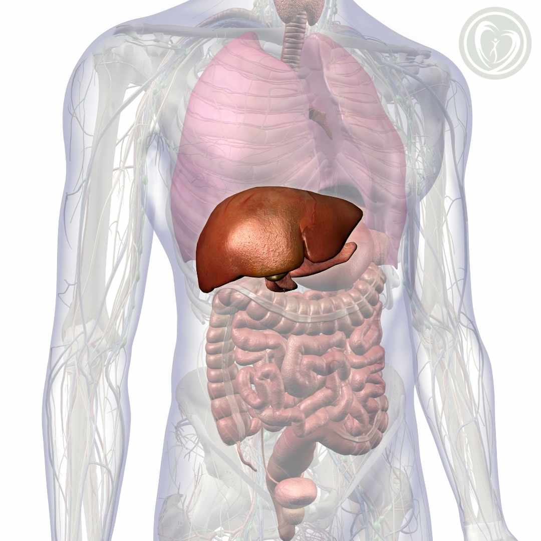 hepatites virais curitiba